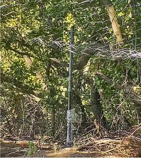 Panorama Aiming at Target Point